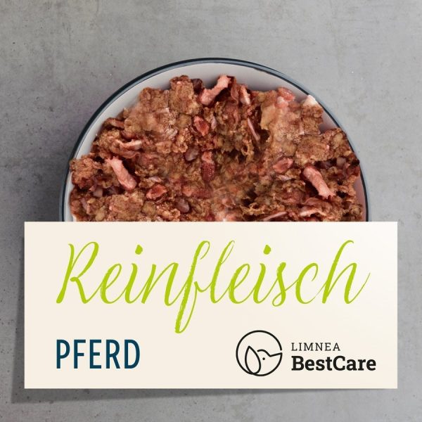 Reinfleisch Pferd Zu verkaufen