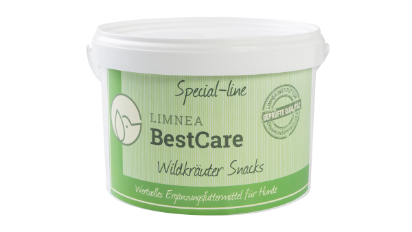 Wildkräuter Snacks Mode